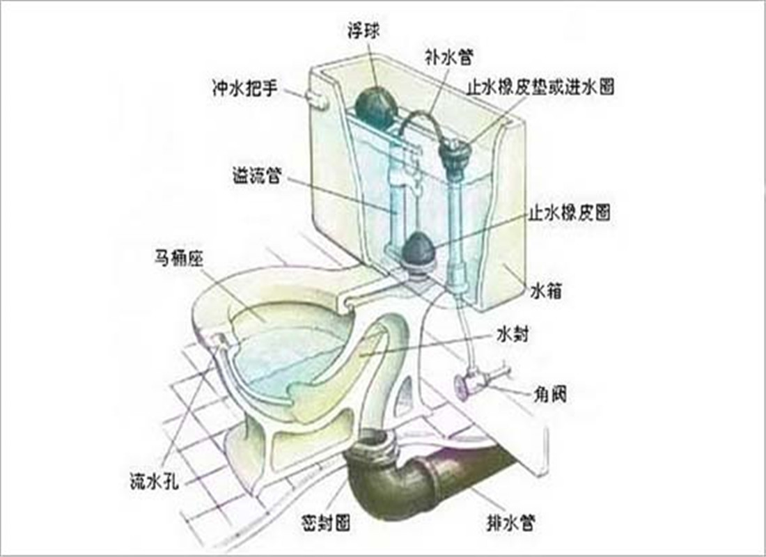 虹吸式马桶结构图_座式马桶结构图虹吸_虹吸马桶和直吸马桶