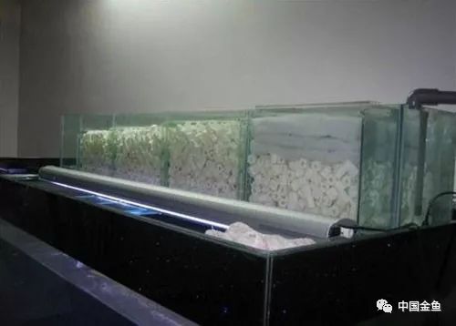 过滤器型号_过滤式自救器_自救器主要过滤什么气体