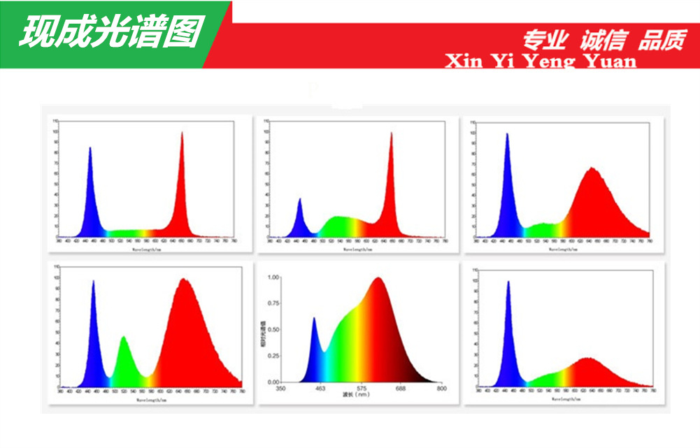 全光谱灯是什么意思_普通led灯光谱_nl 全光谱水草灯批发