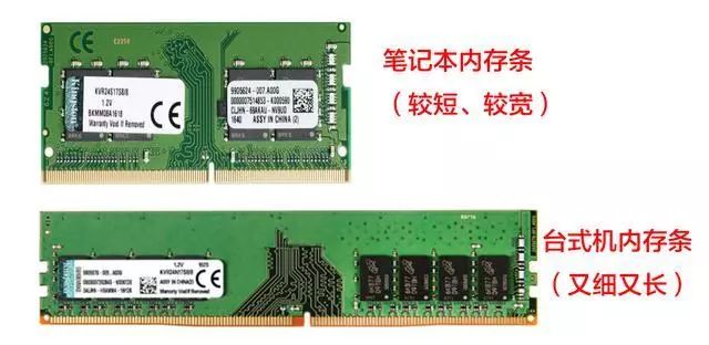 德用魔池是干嘛_福建治安便民是干嘛用_内存条是干嘛用的