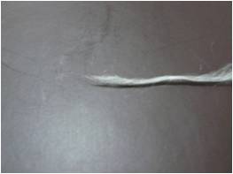 鉴别冰蚕丝和天然蚕丝_蚕丝怎么分辨真假鉴别_蚕丝被的鉴别