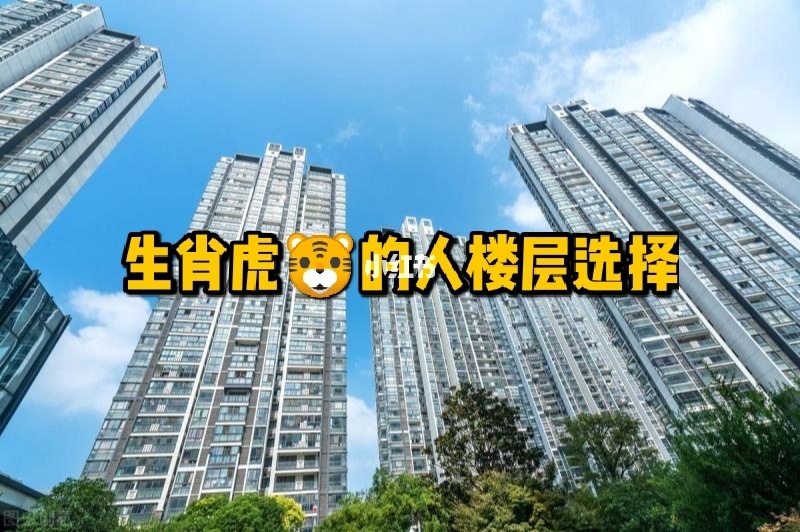 楼层与风水_楼层风水是迷信吗_住宅楼层风水