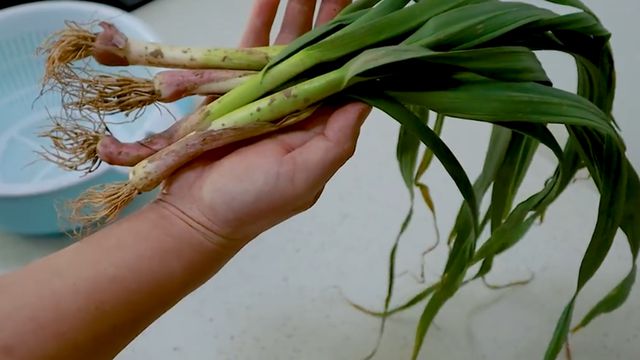红烧红烧肘子做法_红烧肘子的做法_红烧肘子的做法大全