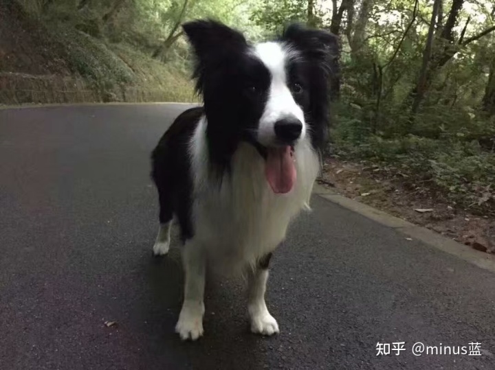 烫饭怎么做_老妈烫饭怎样加盟_老妈烫饭里面的汤是什么汤