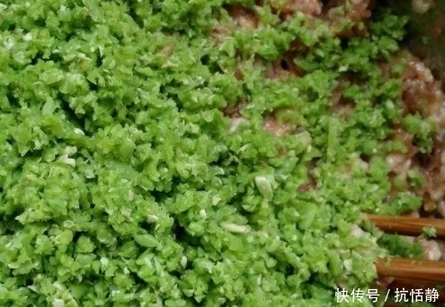 豆角饺子馅怎么做_长豆角馅饺子的做法_豆角鸡蛋馅饺子怎样调馅
