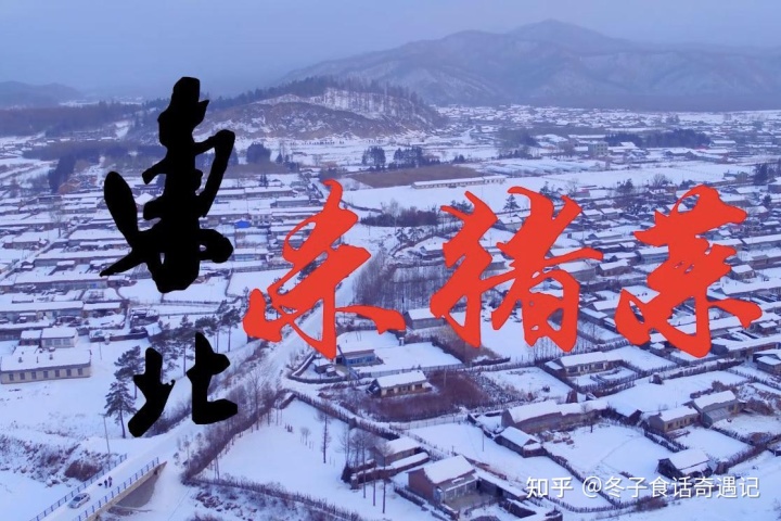 大骨头烩酸菜的家常做法_大骨头炖豆角家常做法_清炖大骨头的家常做法