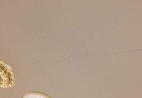 毒漆藤皮疹_乳胶漆有毒吗_曼谷免税店有乳胶枕吗