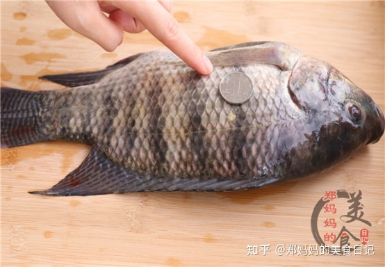 蝶鱼清蒸鱼怎么做_清蒸长寿鱼_清蒸碟鱼头的做法
