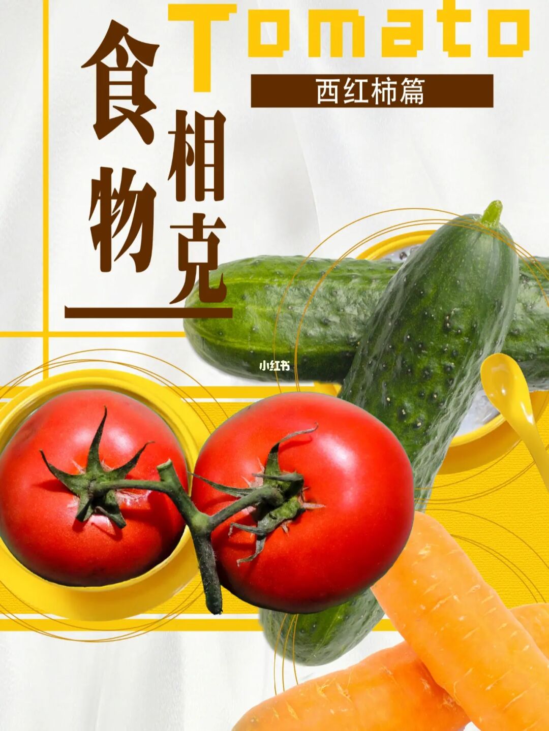 西瓜皮怎么吃_花皮西瓜和青皮西瓜_西瓜猪八戒吃西瓜
