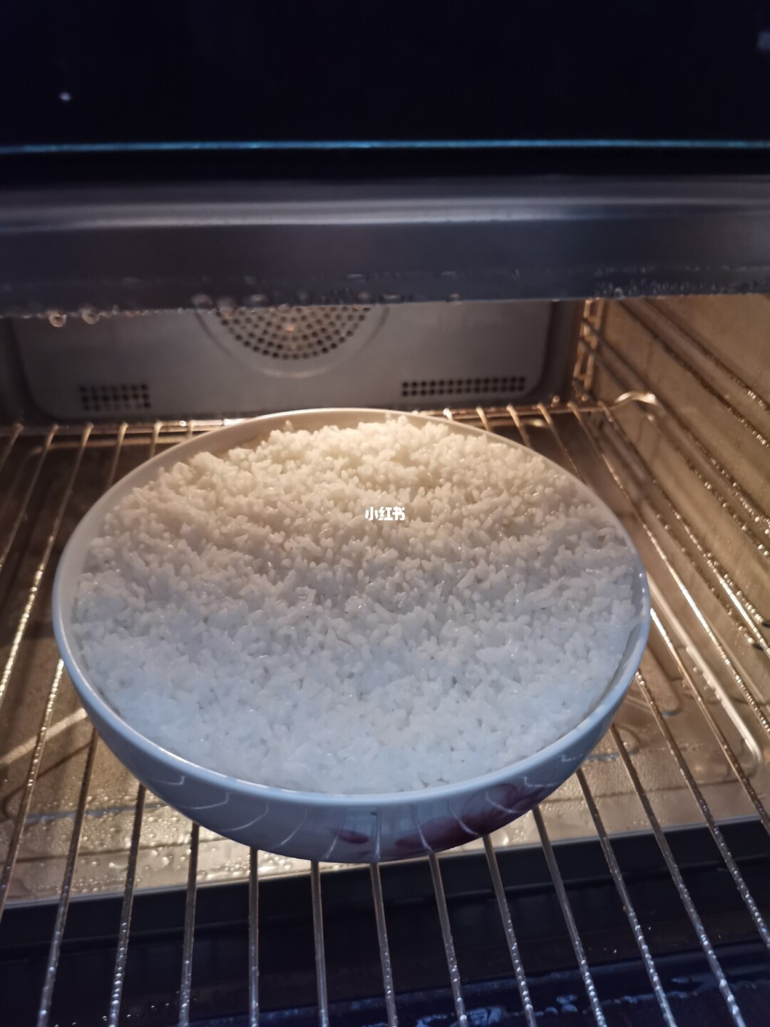 蒸烤箱哪个牌子好_govos 蒸烤箱 散热_蒸烤箱尺寸