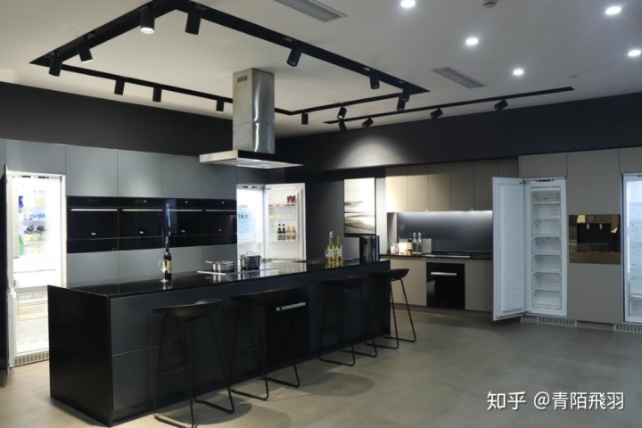 烤箱蒸鱼的做法大全_蒸烤箱尺寸_govos 蒸烤箱 散热