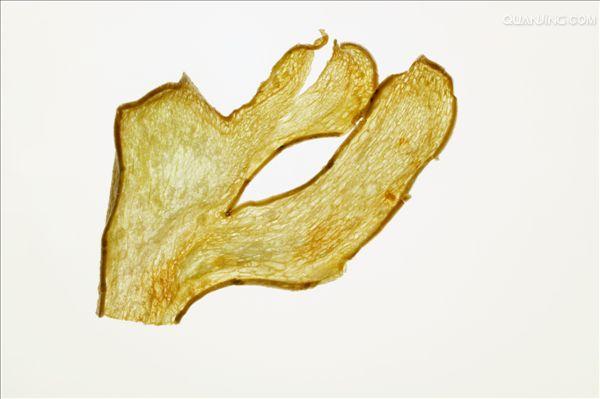 番茄小酥肉做法_小酥肉家常做法_小酥肉烩菜的家常做法