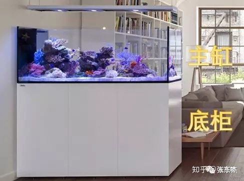 鱼缸不打孔上滤改底滤_鱼缸底滤和上滤的区别_底滤鱼缸原理